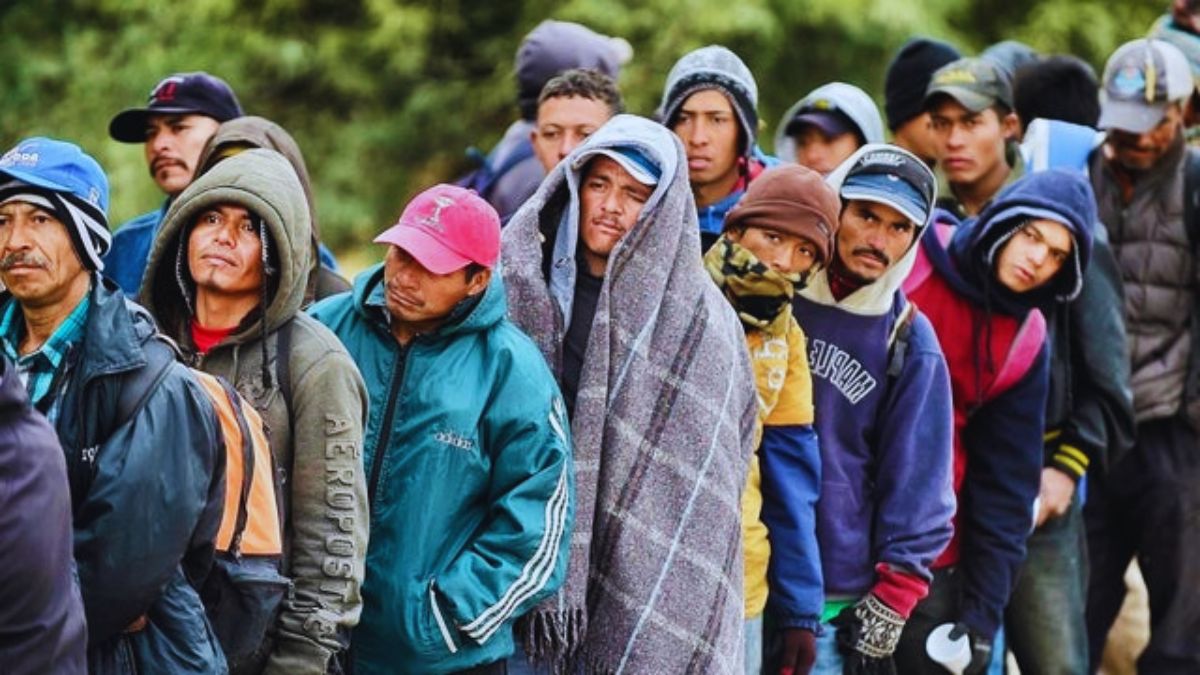 Immigrant, Donald Trump, Crackdown, Illegal