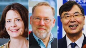 Nobel Prize 2025, Nobel Prize in Medicine 2025, Regulatory T cells, Immune system discovery, Mary Brunkow, Fred Ramsdell, Shimon Sakaguchi, Foxp3 gene, Autoimmune diseases